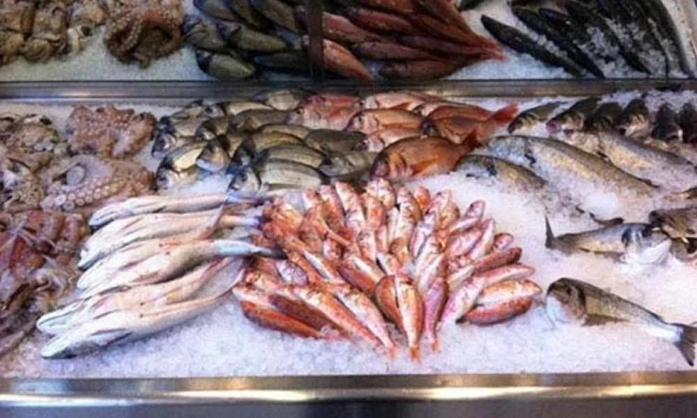 Τουρκία: Μέσω Ελλάδας οι εξαγωγές των ψαριών της στην Ευρώπη